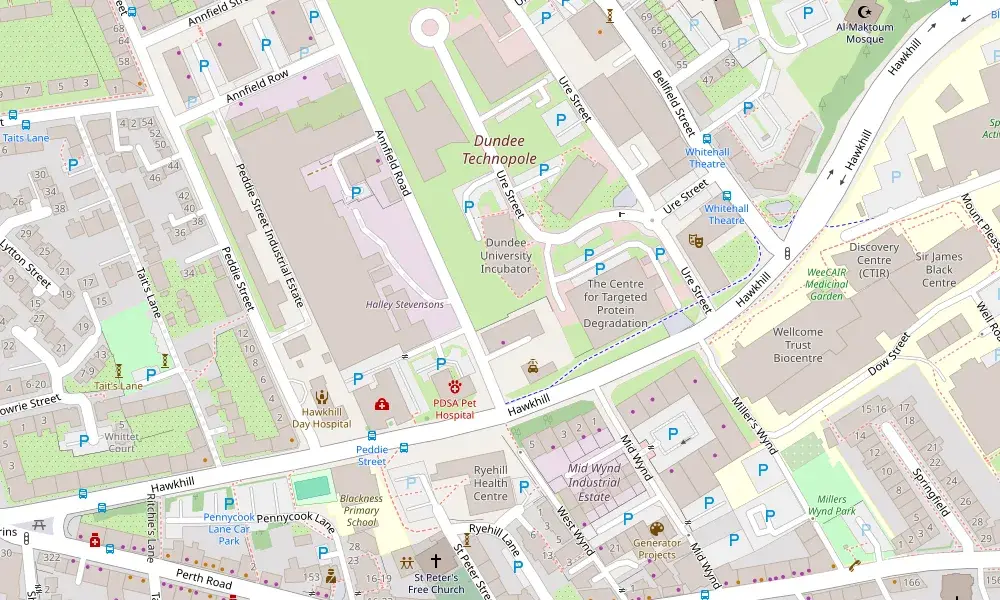 Map of Blackness in Dundee showing Annfield Road to the north-west and Hawkhill Court off Mid Wynd to the south-east, about a quarter of a mile apart.